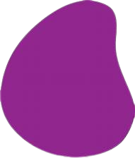 OIP__8_-removebg-preview